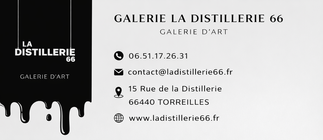 galerie dart-1